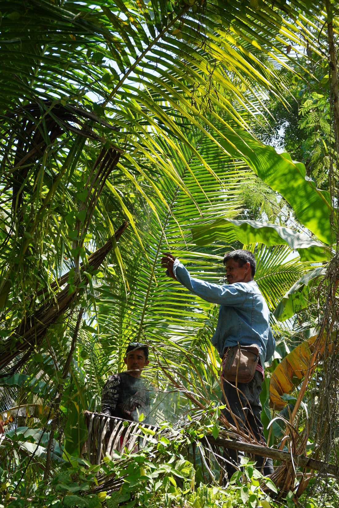 How to Find Honey You Can Trust in the Philippines