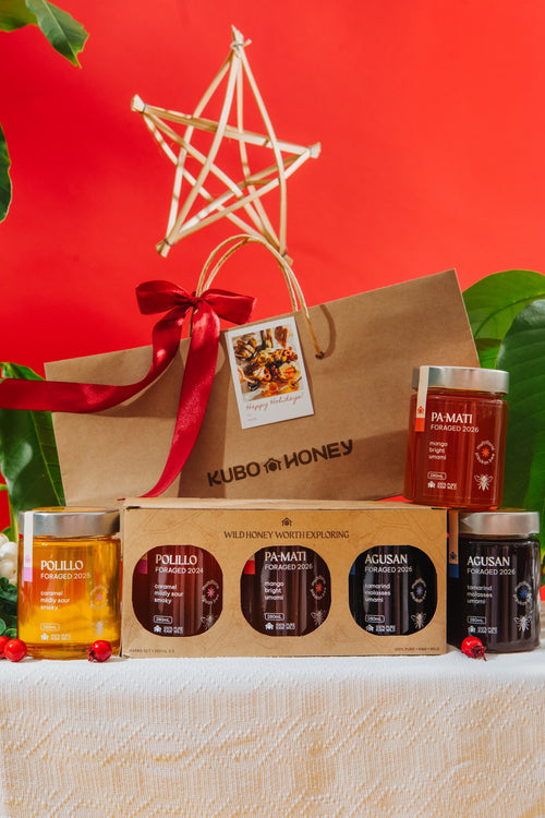 Hapag Set, Light to Dark Honeys (3 × 280mL) in Kubo Honey holiday gift packaging