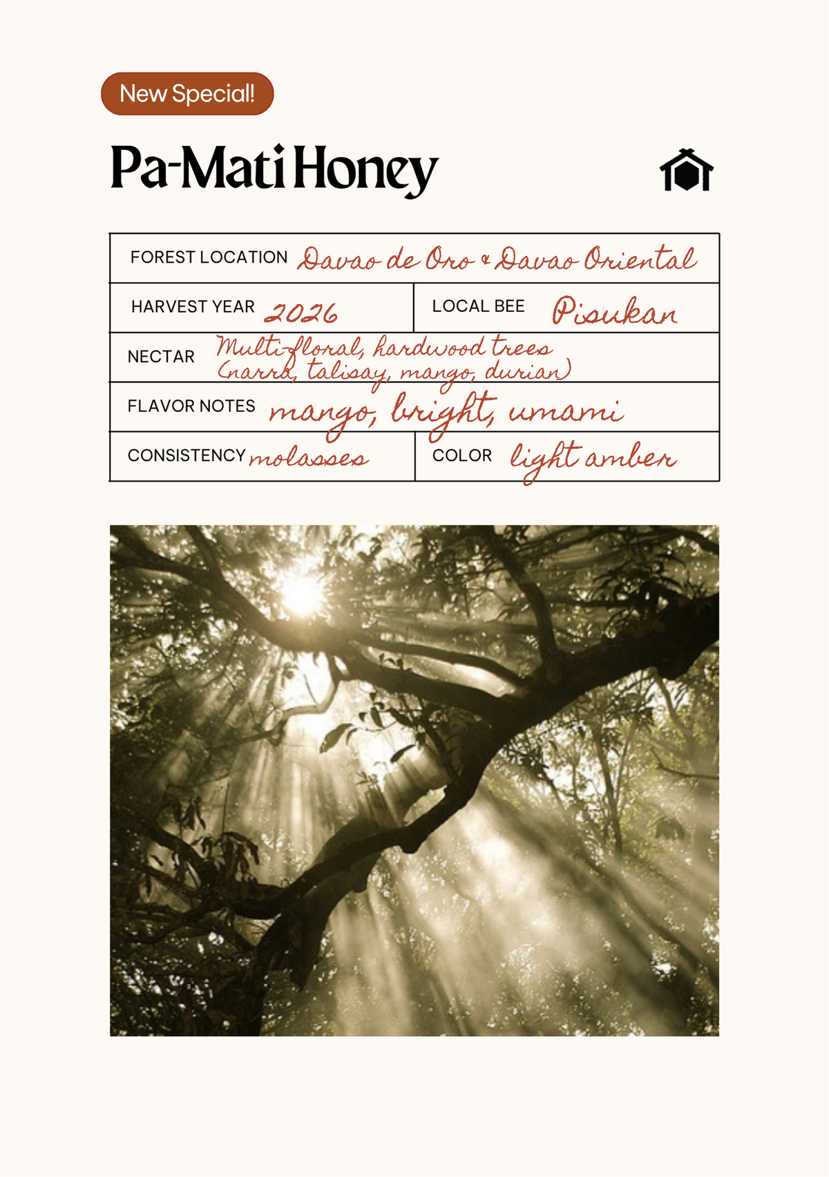 Pa-Mati Honey field card. Forest location: Davao de Oro and Davao Oriental. Harvest year: 2026. Local bee: Pisukan. Nectar: multi-floral, hardwood trees (narra, talisay, mango, durian). Flavor notes: mango, bright, umami. Consistency: molasses. Color: light amber.