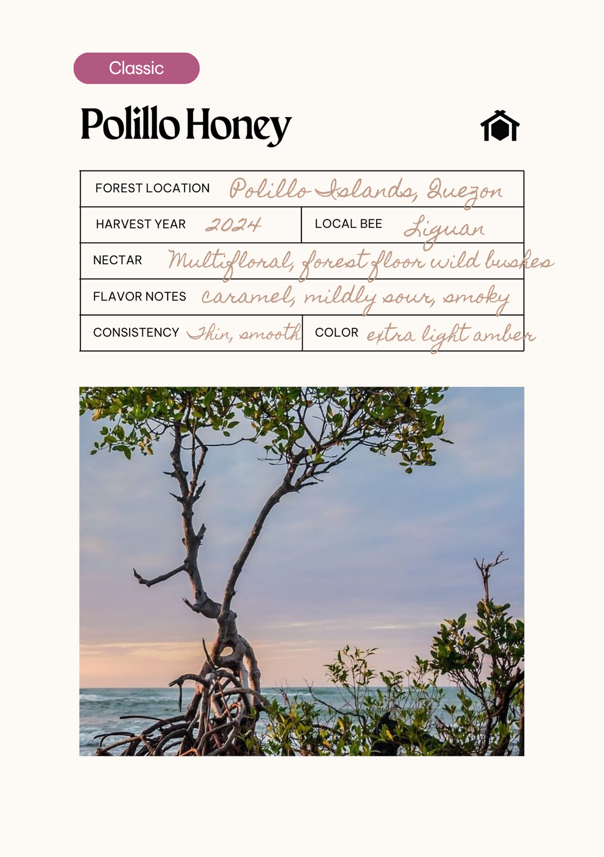 Polillo Honey field card. Forest location: Polillo Islands, Quezon. Harvest year: 2024. Local bee: Liguan. Nectar: multi-floral, forest floor wild bushes. Flavor notes: caramel, mildly sour, smoky. Consistency: thin, smooth. Color: extra light amber.