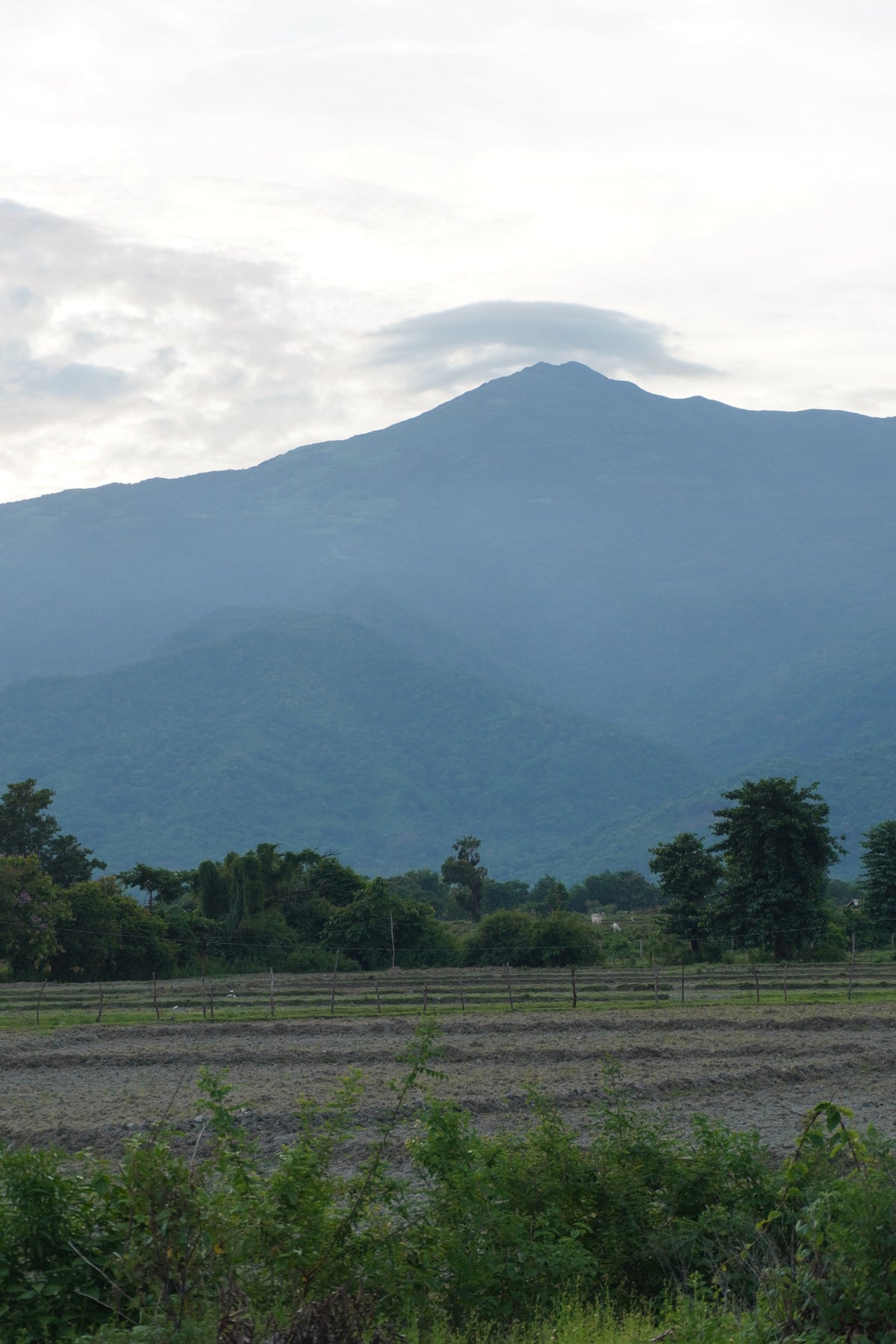 A forested mountain above farmland in Occidental Mindoro
