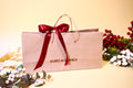 Paper Bag + Ribbon, in Kubo Honey holiday packaging