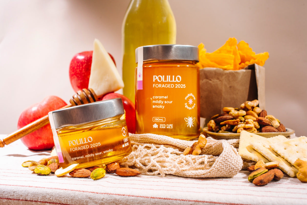 Polillo